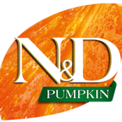 Pumpkin 南瓜系列
